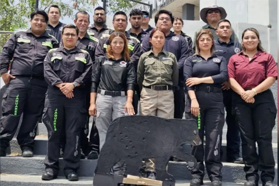 Santa Catarina lanza campaña de prevención y protección de osos