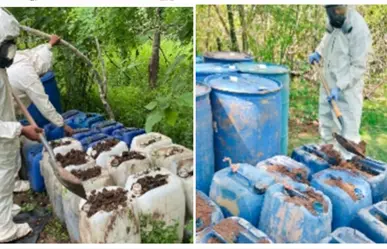 Autoridades desmantelan 8 narcolaboratorios en Sinaloa