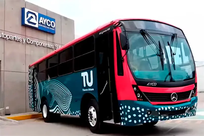 Foto: Tiburón Urbano.