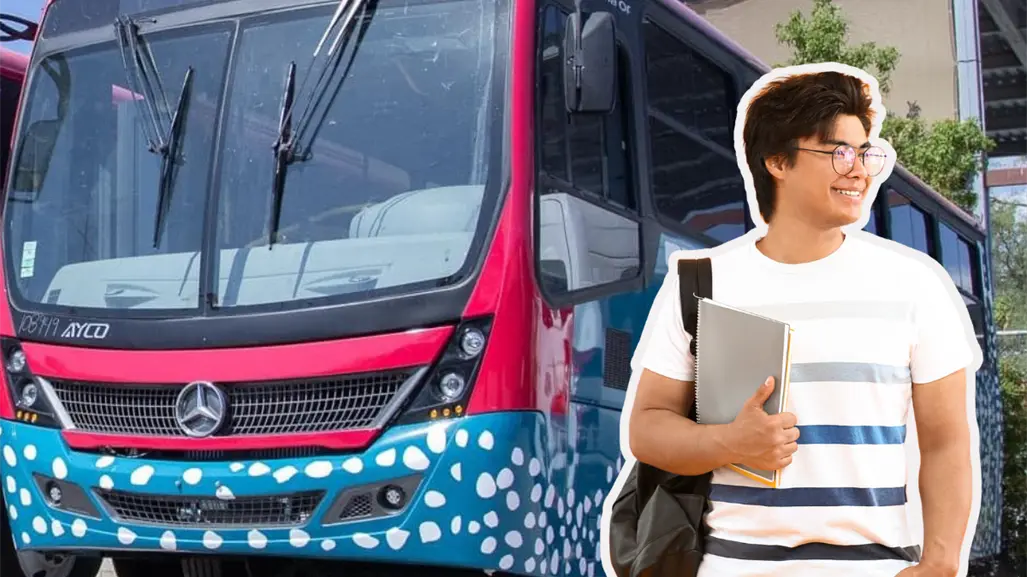 Incrementan salidas de tiburón urbano en La Paz: esta es la ruta
