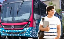 Incrementan salidas de tiburón urbano en La Paz: esta es la ruta