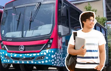 Incrementan salidas de tiburón urbano en La Paz: esta es la ruta