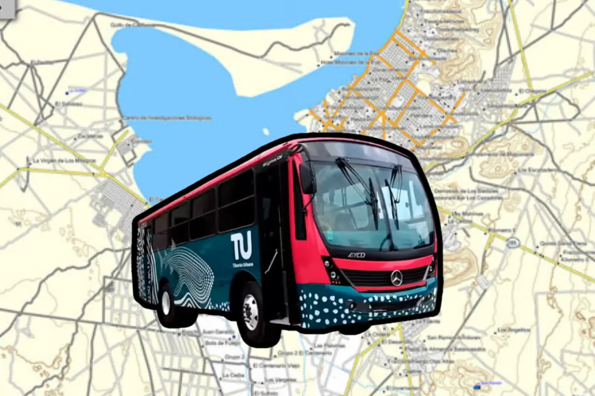 Bastó una publicación en Facebook de Tránsito Municipal, para que hombres y mujeres de La Paz manifestaran las reales necesidades de transporte público en La Paz. Fotos: Tiburón Urbano | Canva.