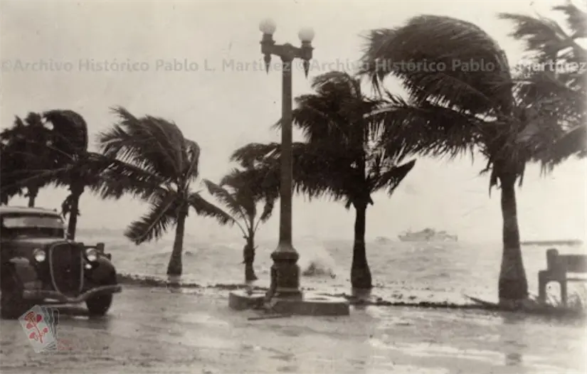 Rescatistas buscaron sobrevivientes entre el barro y los escombros tras la tragedia. Foto: Archivo Histórico Pablo L. Martínez