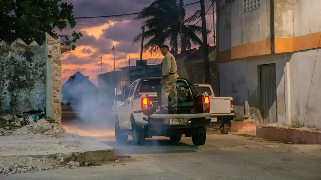 ¡Adiós al mosquito de la ciénaga! Arranca operativo de fumigación en Mérida