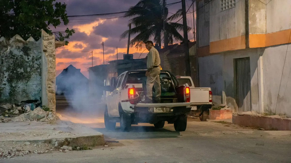 Las jornadas de fumigación llegarán hasta la zona costera de Yucatán Foto: Gobierno de Yucatán