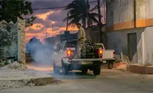 ¡Adiós al mosquito de la ciénaga! Arranca operativo de fumigación en Mérida