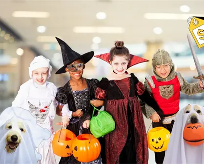Halloween 2025: 3 lugares de Durango ideales para comprar o rentar un disfraz