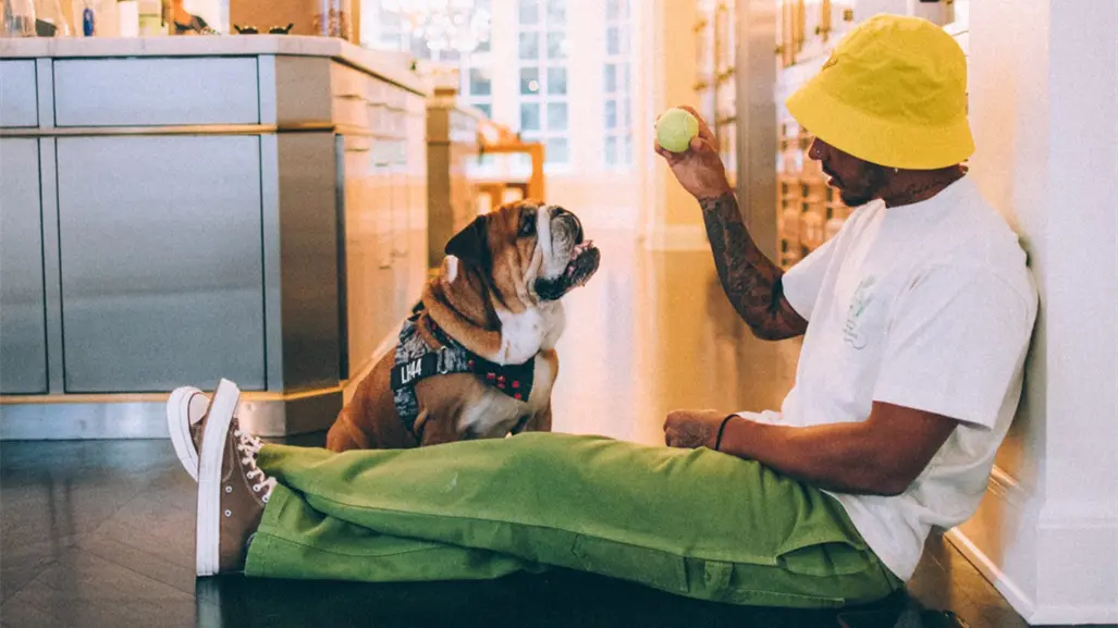 Roscoe en la F1: 5 momentos divertidos e inolvidables de la mascota de Lewis Hamilton en el paddock