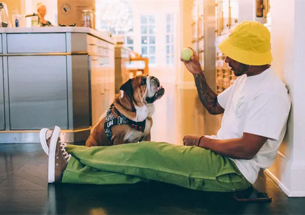 Roscoe en la F1: 5 momentos divertidos e inolvidables de la mascota de Lewis Hamilton en el paddock