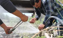 Sigue el saqueo irregular en río de Tamaulipas según CONAGUA Sigue el saqueo irregular en río de Tamaulipas según CONAGUA