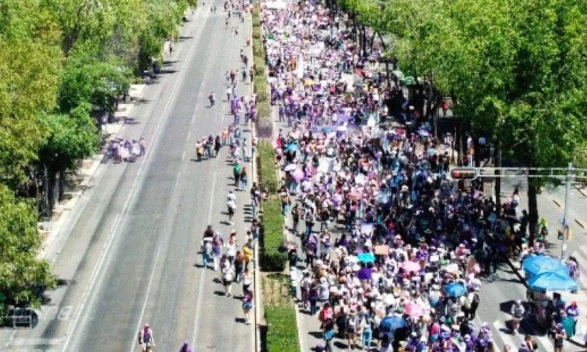 Manifestación en Paseo de la Reforma CDMX. Foto: X (@OVIALCDMX)