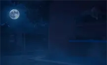 “Prepárate para el terror: regresa la Noche de Halloween en el Zoo 2025”