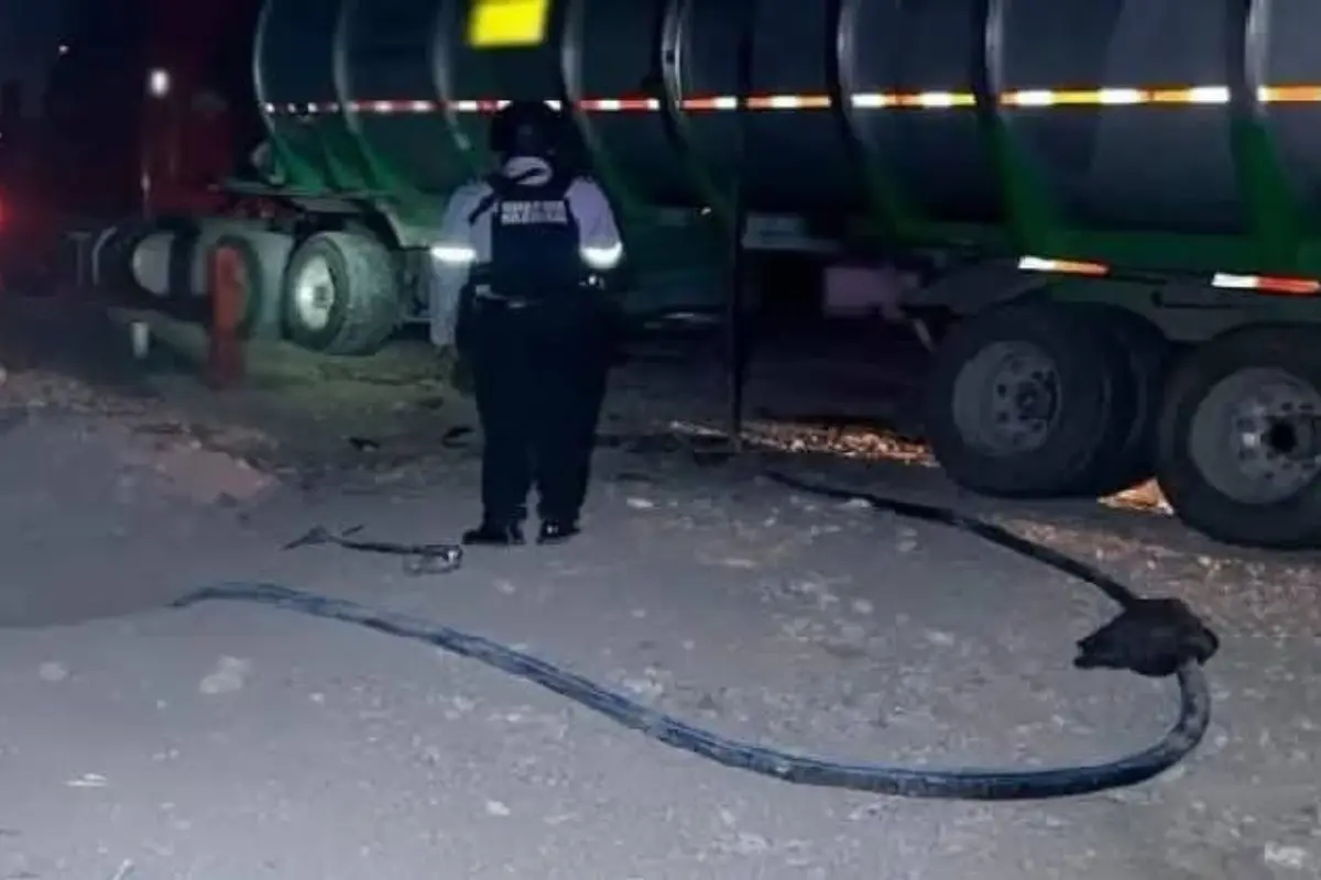 La delegación de la Fiscalía General de la República en Tamaulipas informó que, en coordinación con la Sedena y la Guardia Nacional, se llevaron a cabo cuatro cateos en municipios del sur del estado. Foto: SSP