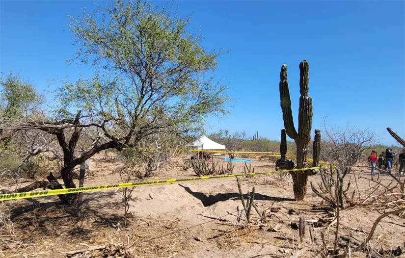 Entre las 15 fosas localizadas, se encontraron sepulturas individuales, dobles y triples. Foto: Facebook / Búsqueda x La Paz