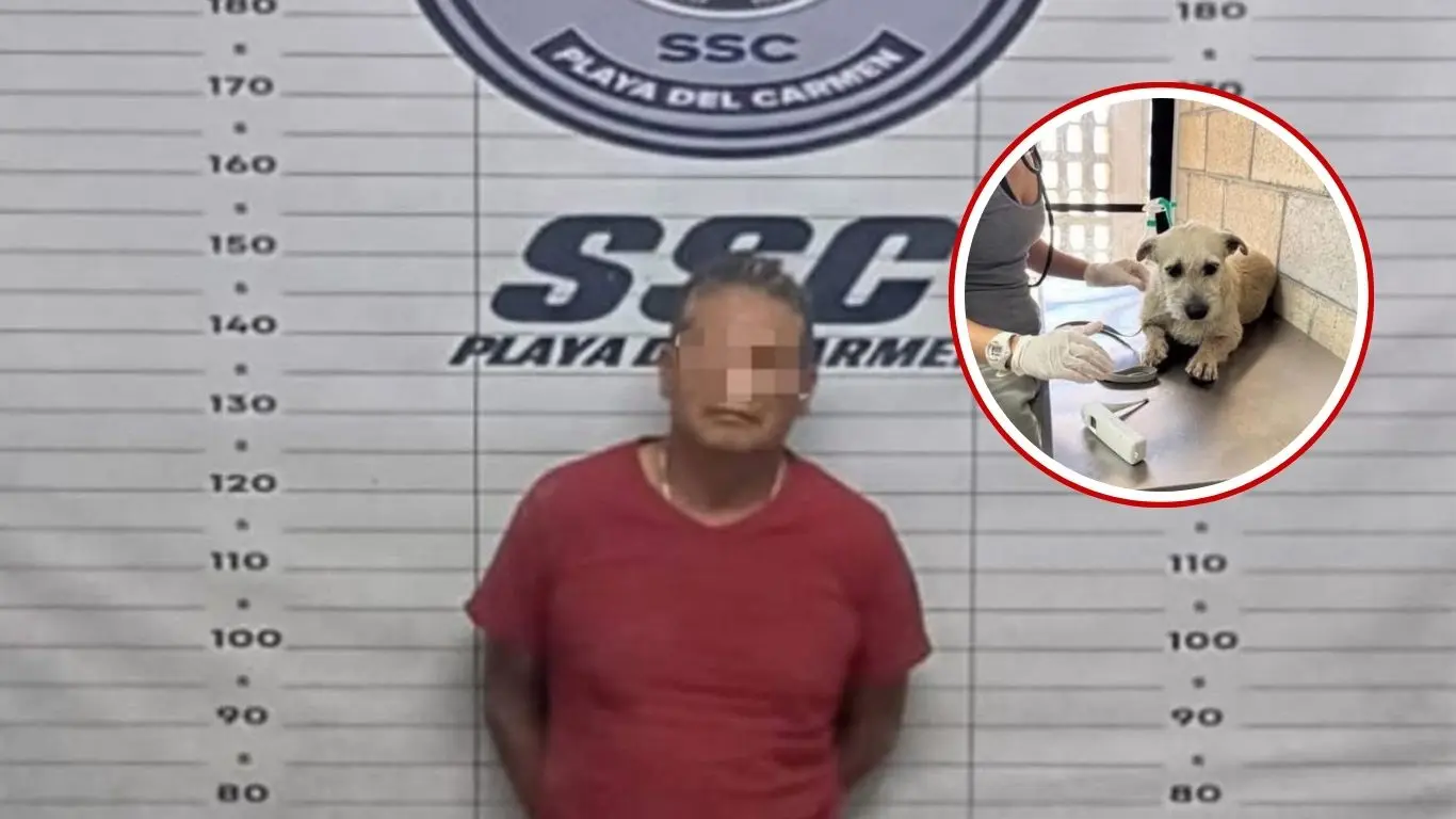 ¿Cómo reaccionó la comunidad ante esta situación?. Foto: Peludos desamparados