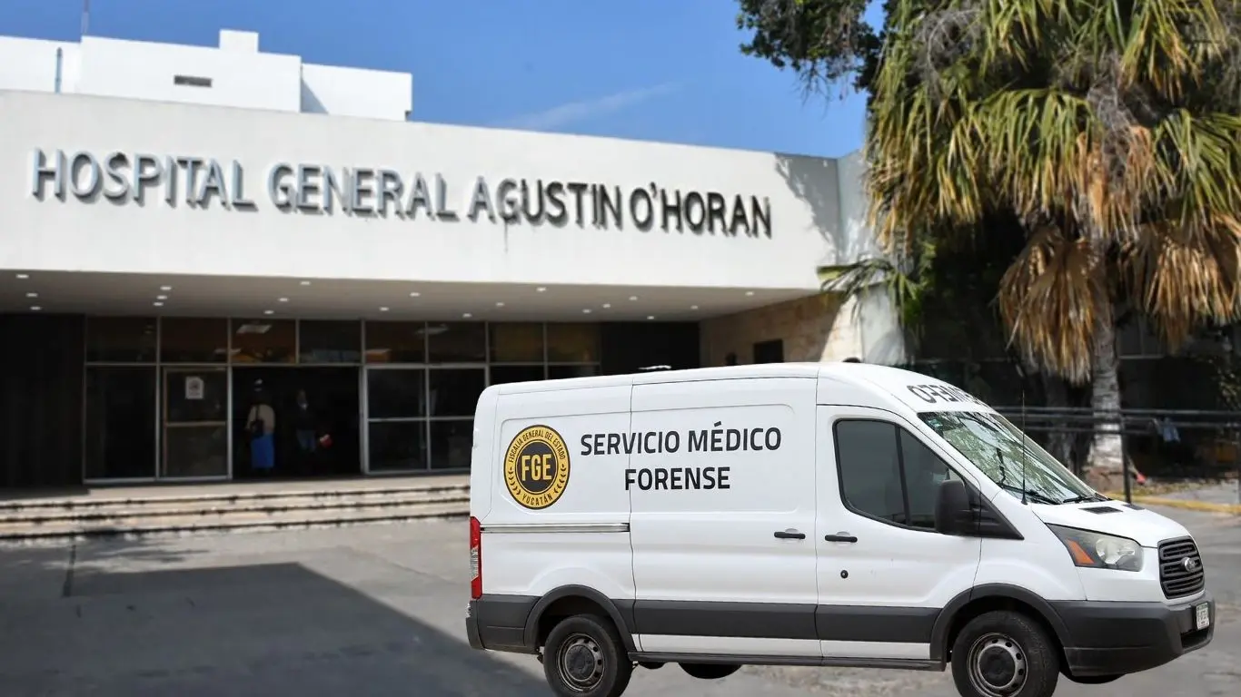 ¿Qué pasó con el agresor de Ticul y cómo murió?. Foto: Canva / SSP / O´horan