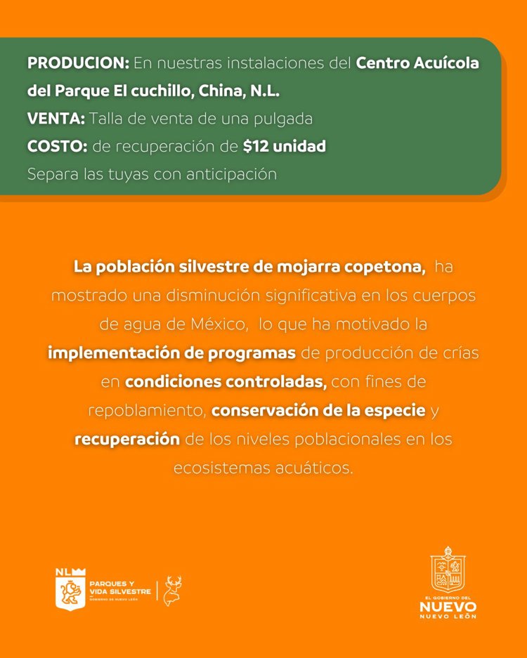 imagen-cuerpo imagen-cuerpo