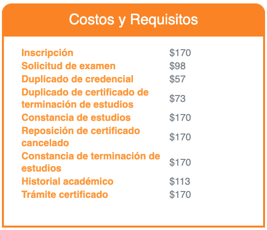 imagen-cuerpo