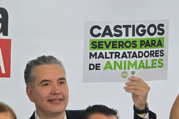 imagen-cuerpo imagen-cuerpo
