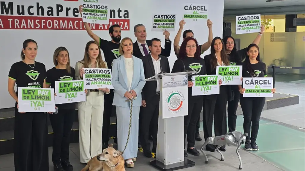 Día Mundial de los Animales: Senador Waldo Fernández promueve iniciativa en contra del maltrato animal
