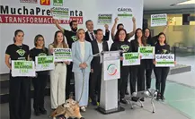 Día Mundial de los Animales: Senador Waldo Fernández promueve iniciativa en contra del maltrato animal