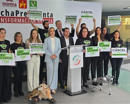 Día Mundial de los Animales: Senador Waldo Fernández promueve iniciativa en contra del maltrato animal