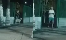 Extranjeros insultan a vecinos que hacían deporte en cancha pública de Loreto | VIDEO