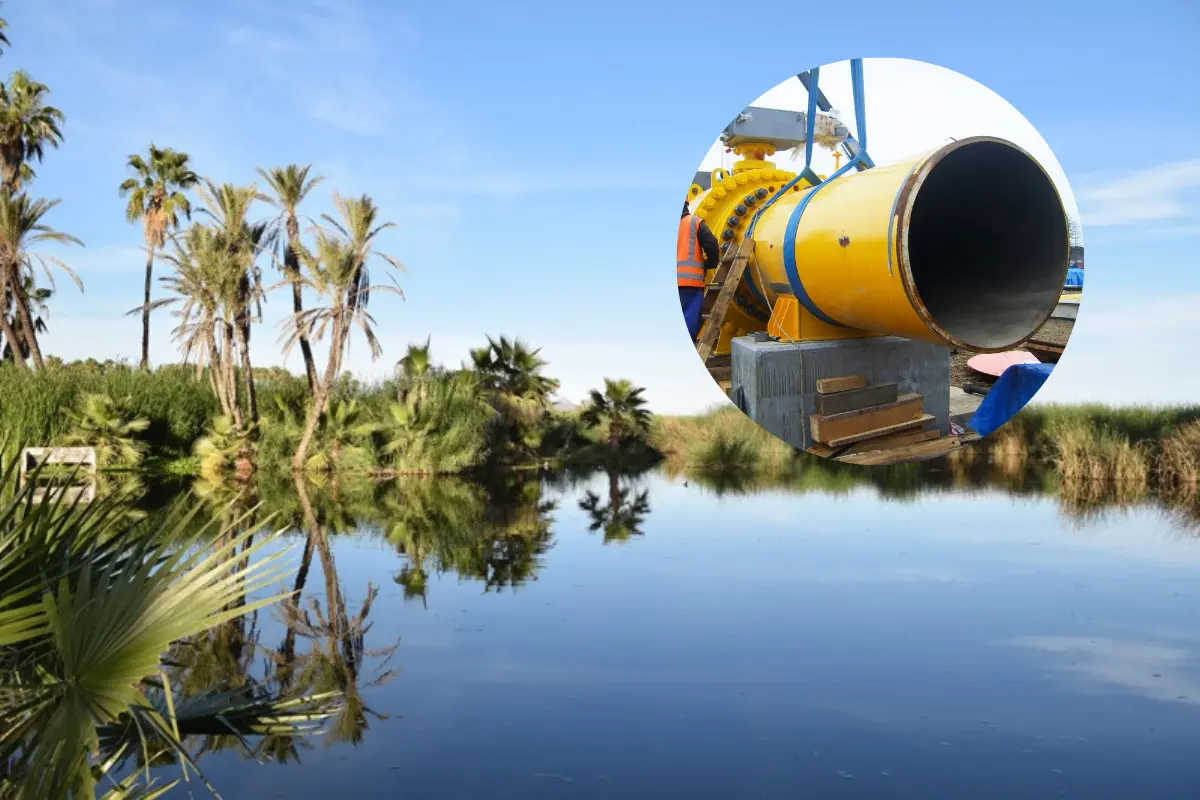 El gasoducto atravesaría el Estero de San José del Cabo, lo que pondría en riesgo la biodiversidad de la zona. Foto: Los Cabos Guide | Canva.