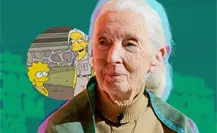 Jane Goodall y sus apariciones en Los Simpson