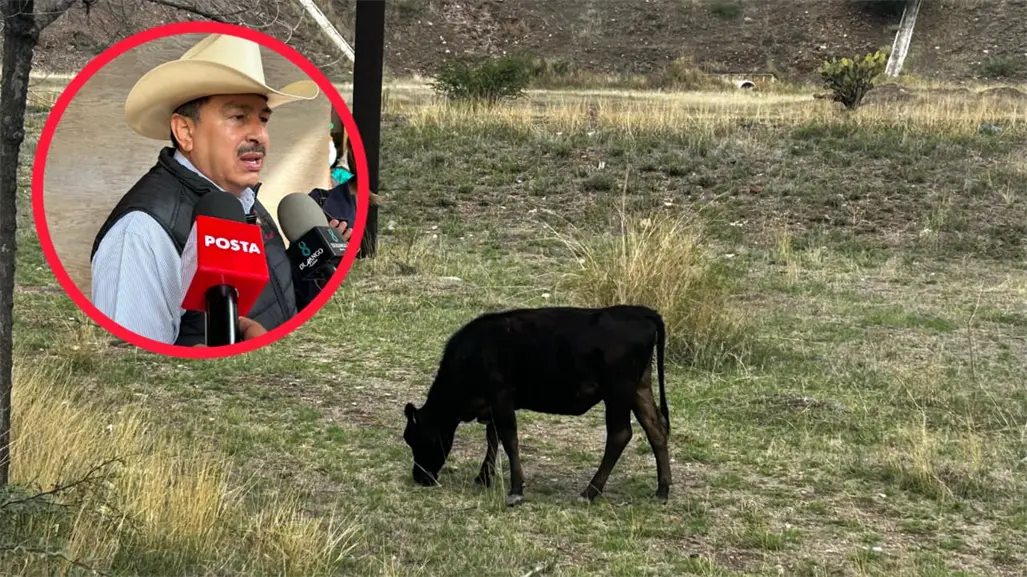 Sur de México molesto por medidas contra el gusano barrenador, asegura Unión Ganadera de Durango