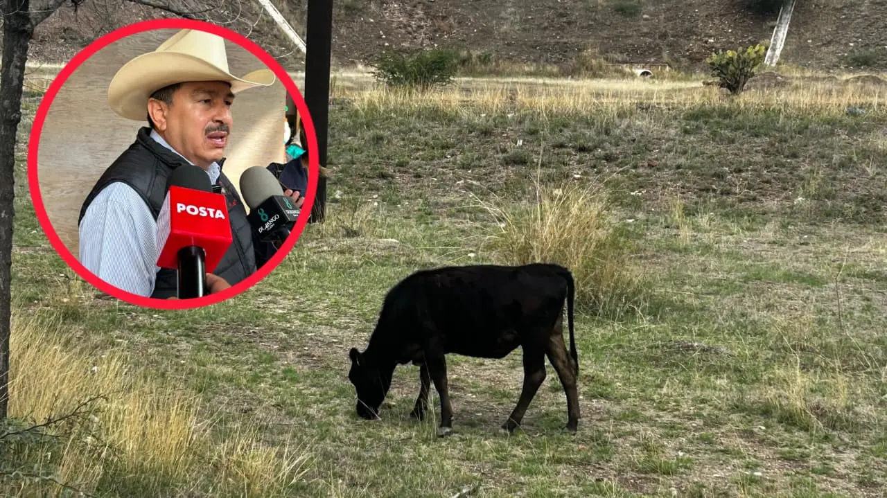 Foto: Alejandro Ávila | La Unión Ganadera de Durango cree que desde el sur alguien no está de acuerdo en medidas contra el gusano barrenador.