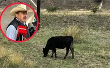 Sur de México molesto por medidas contra el gusano barrenador, asegura Unión Ganadera de Durango