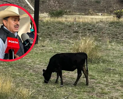 Sur de México molesto por medidas contra el gusano barrenador, asegura Unión Ganadera de Durango