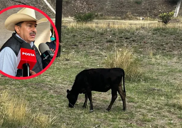 Sur de México molesto por medidas contra el gusano barrenador, asegura Unión Ganadera de Durango