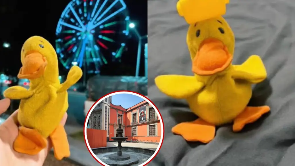 Pato de peluche perdido en Museo Franz Mayer se hace viral en TikTok y dueños ofrecen recompensa