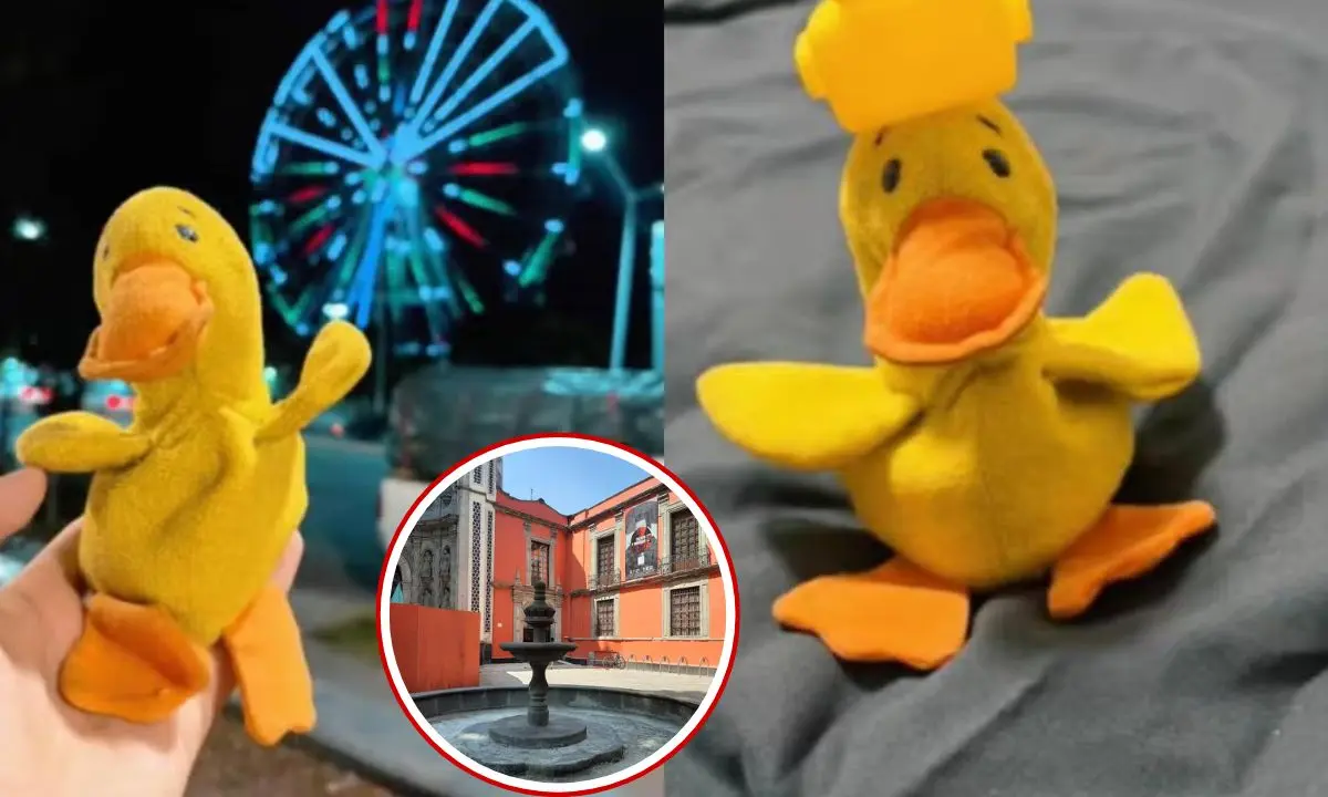 Pato, el peluche en CDMX, Museo Franz Mayer                 Foto: captura ( TikTok @ale.ar22) | Canva