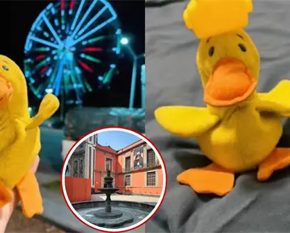 Pato de peluche perdido en Museo Franz Mayer se hace viral en TikTok y dueños ofrecen recompensa