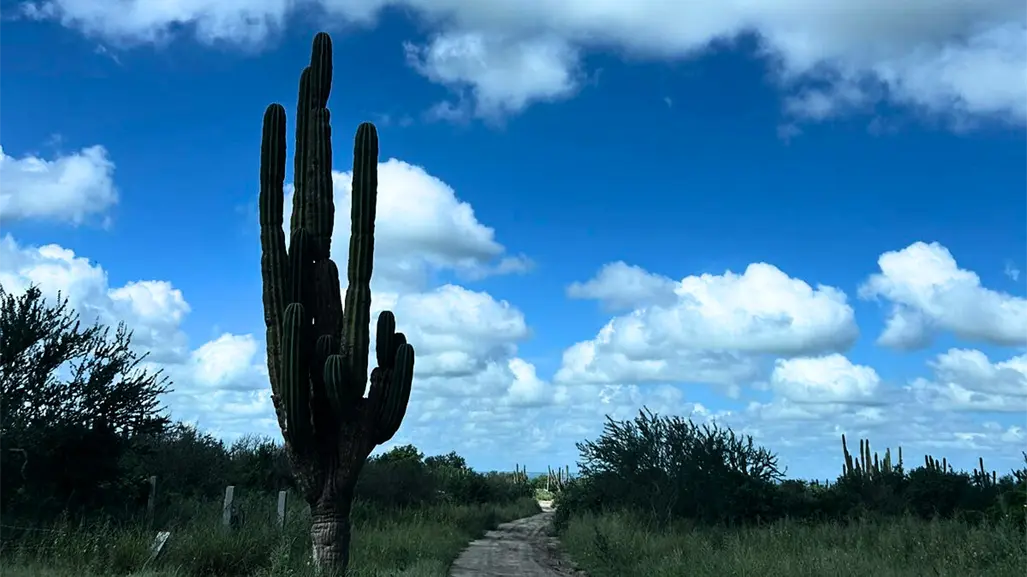 ¿Cuál fue el municipio más caliente de este verano en Baja California Sur?