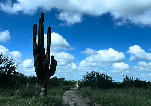 ¿Cuál fue el municipio más caliente de este verano en Baja California Sur?