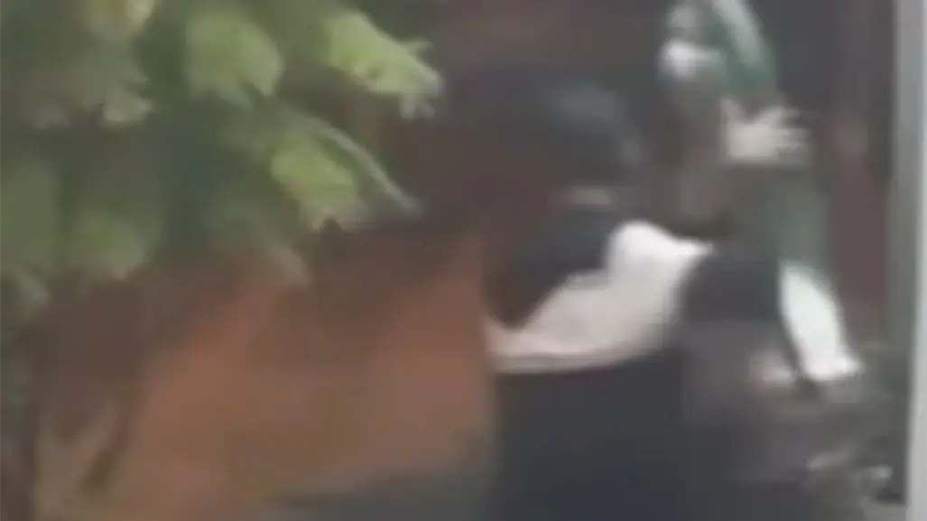 VIDEO | Roban estatua de San Judas Tadeo en Ciénega de Flores