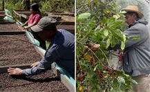 Café de especialidad, oportunidad de un consumo ético del café en México