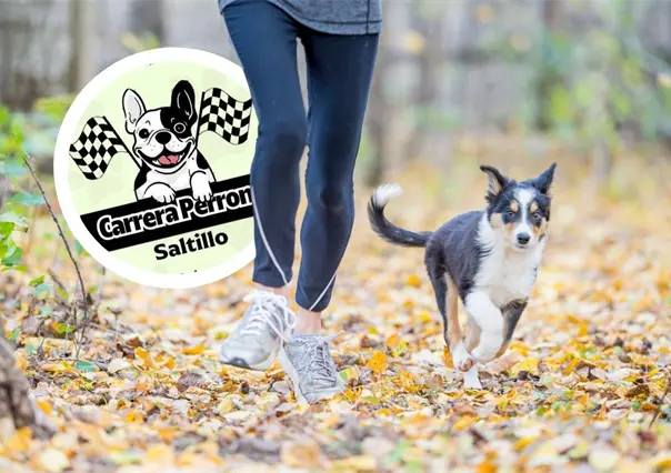 Carrera Perrona en Saltillo, esto es todo lo que debes saber del evento por los animales