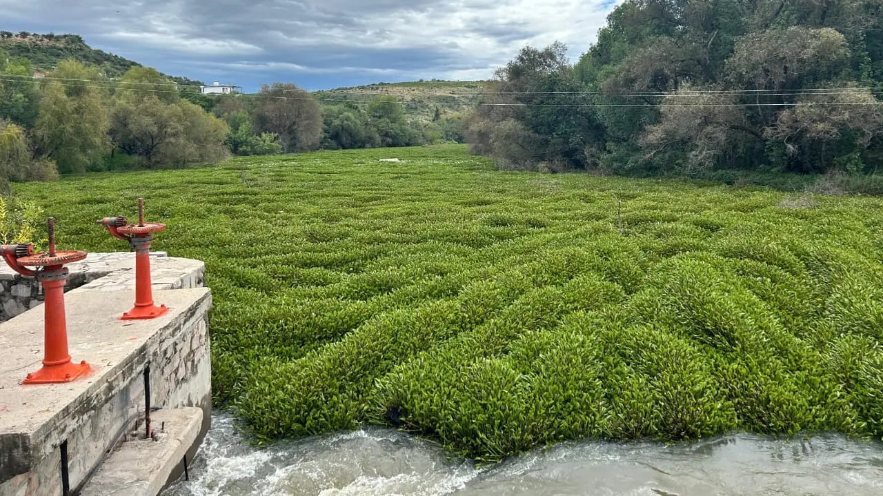 Foto: Alejandro Ávila | Conoce la actualización del nivel en las presas de Durango de este 2 de octubre.