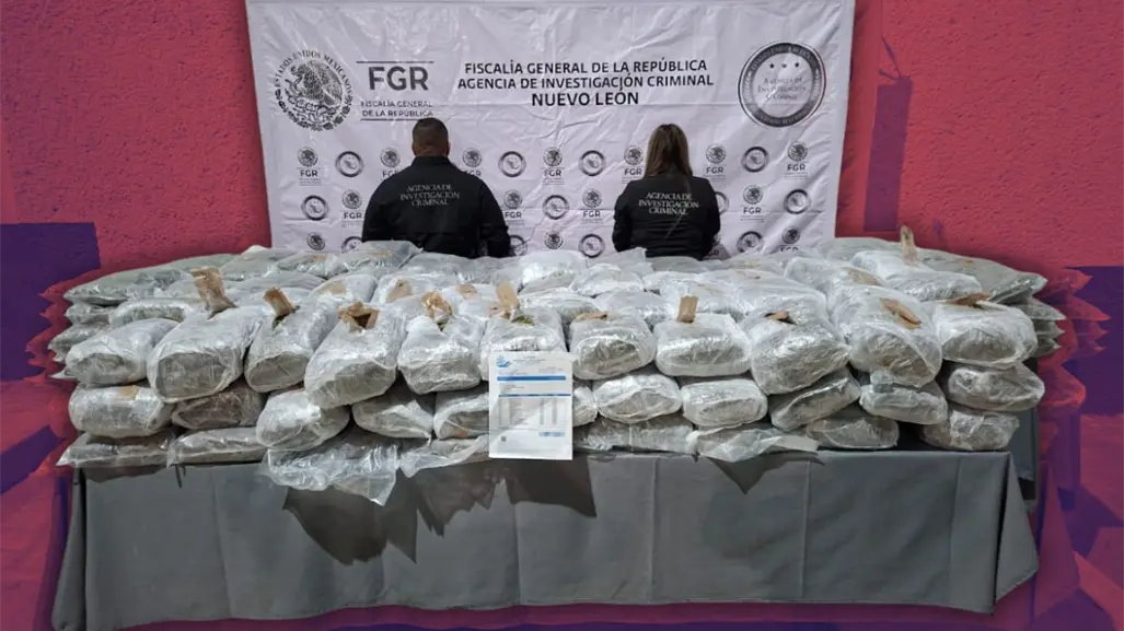 Aseguran 228 kilos de marihuana en General Bravo; FGR detiene a presunto responsable
