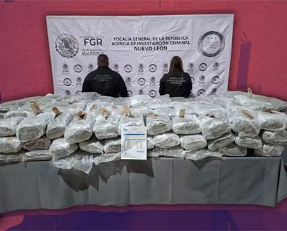 Aseguran 228 kilos de marihuana en General Bravo; FGR detiene a presunto responsable