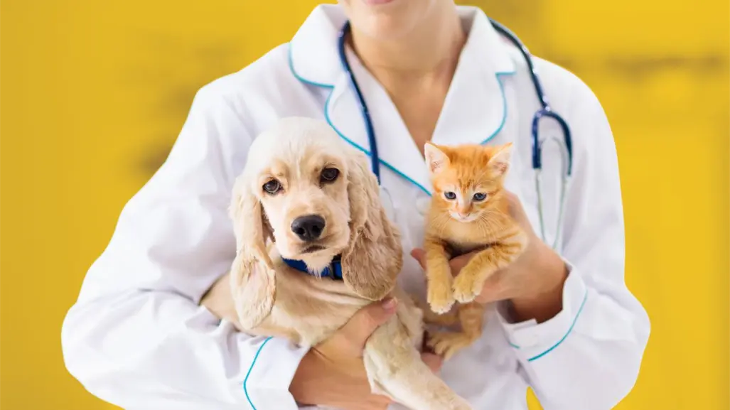 Santiago anuncia brigada gratuita de esterilización y vacunación para mascotas