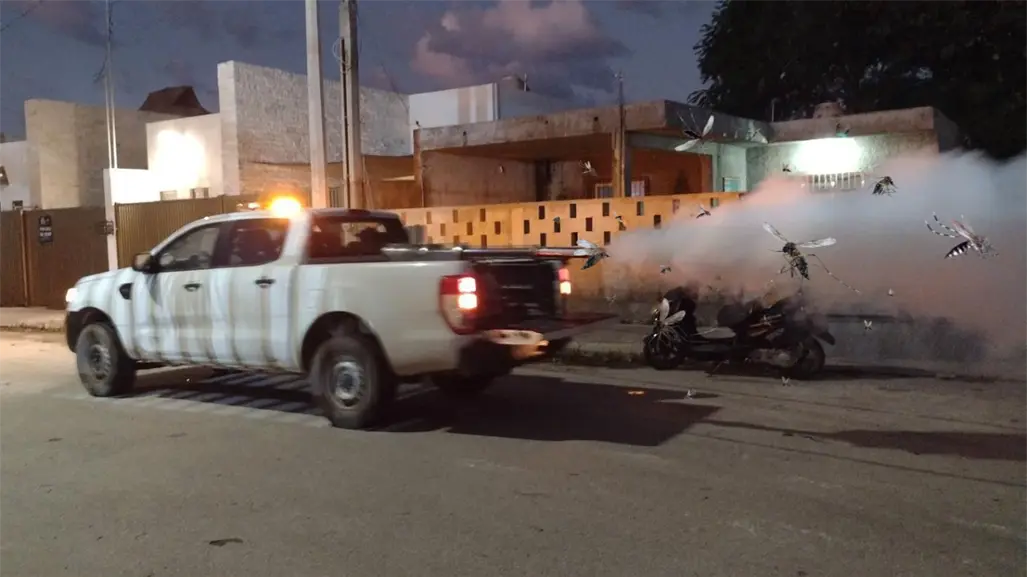 Mosquitos en Yucatán: ¿Dónde van a fumigar este viernes 3 de octubre?