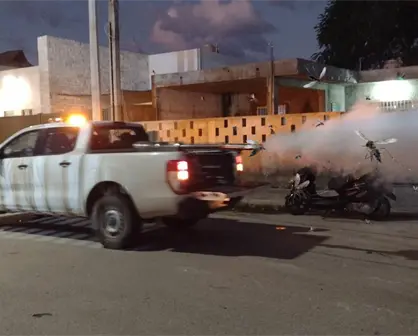 Mosquitos en Yucatán: ¿Dónde van a fumigar este viernes 3 de octubre?