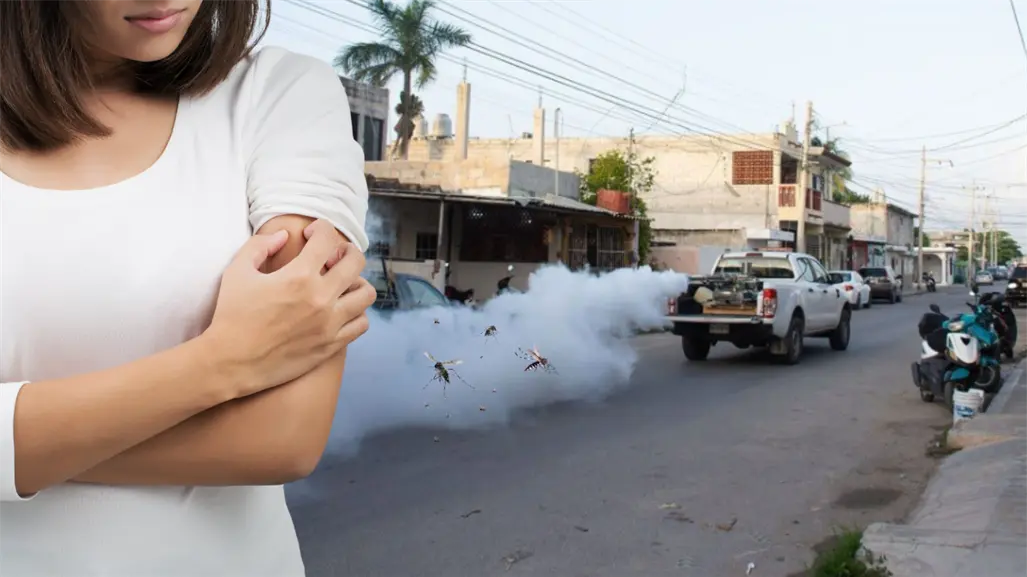 Mosquitos en Yucatán: ¿Dónde van a fumigar este jueves 2 de octubre?